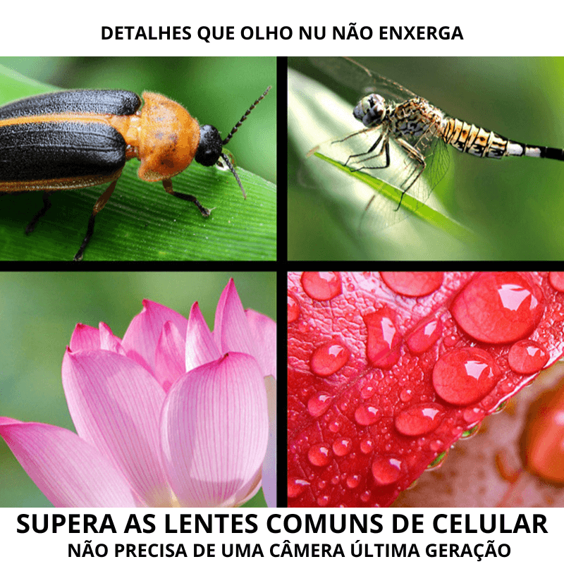 referência da lente macro tirando fotos de inseto e natureza